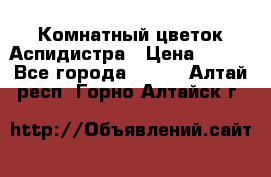 Комнатный цветок Аспидистра › Цена ­ 150 - Все города  »    . Алтай респ.,Горно-Алтайск г.